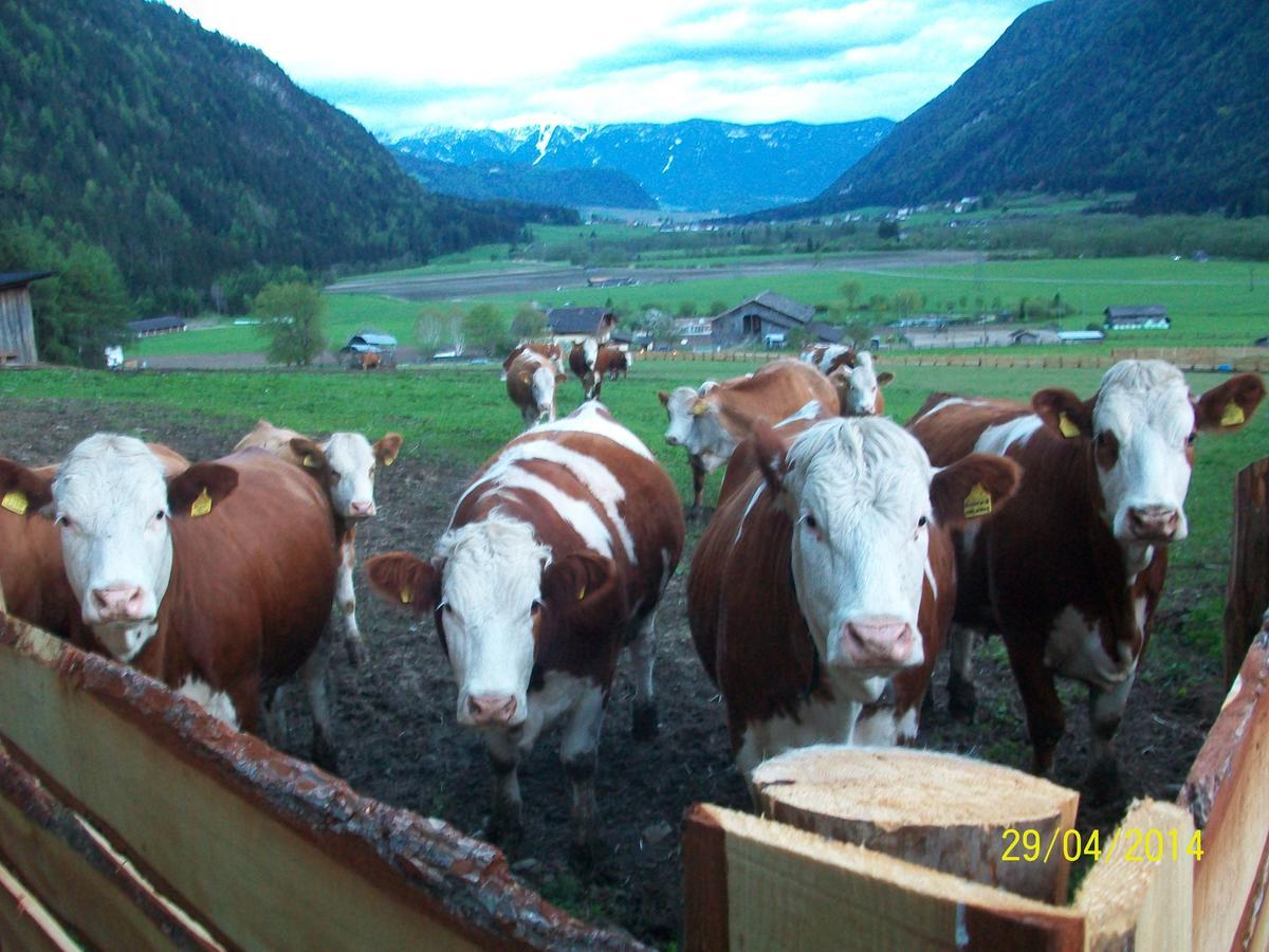 Luggishof Campo Tures Exterior foto